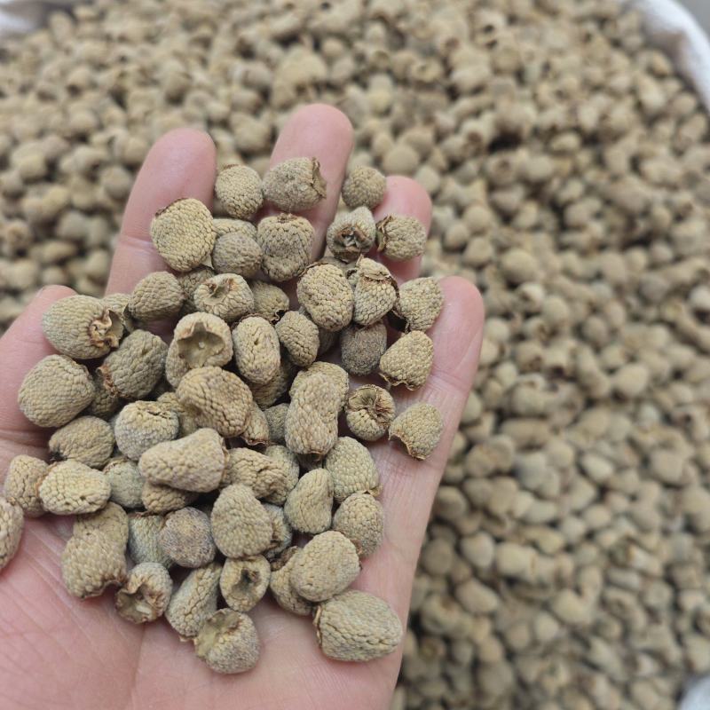 覆盆子手工精选大果有大货出售