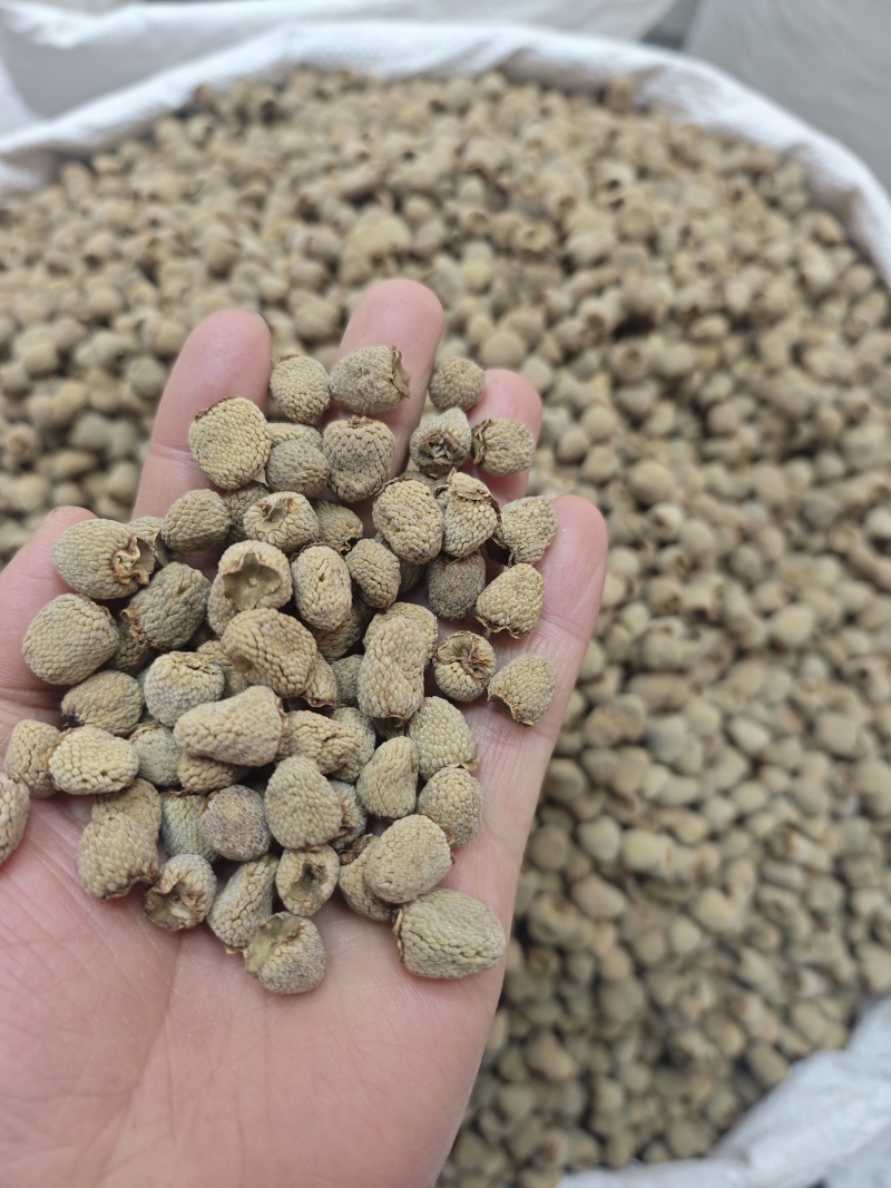 覆盆子手工精选大果有大货出售