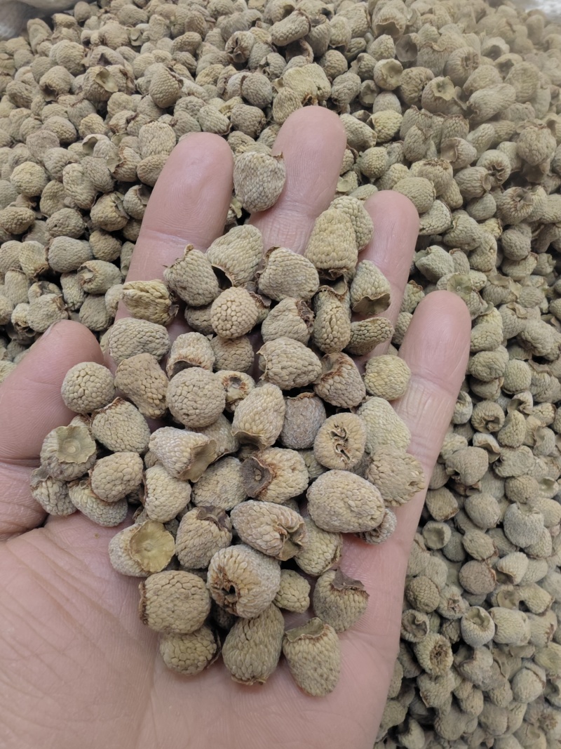 覆盆子手工精选大果有大货出售