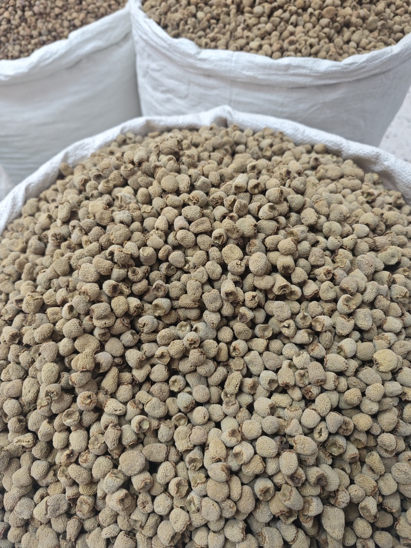 覆盆子手工精选大果有大货出售