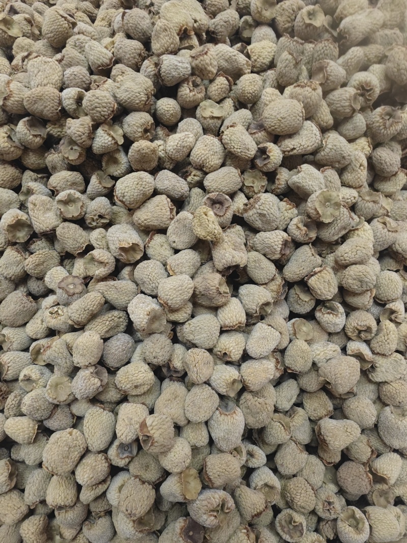 覆盆子手工精选大果有大货出售