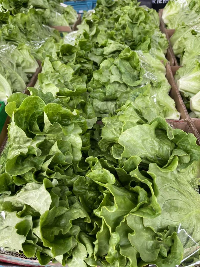 【平台推荐】意大利生菜/江苏生菜/散叶生菜便宜