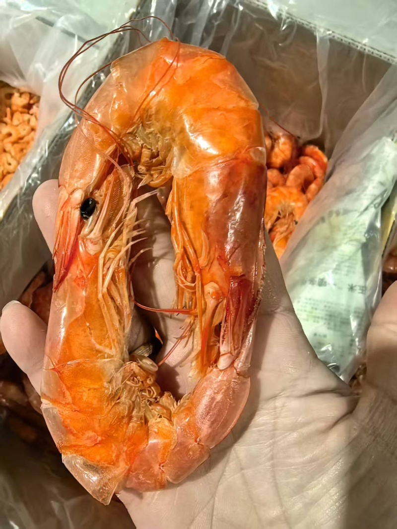 精品南美白烤虾全国发货量大价优欢迎随时联系