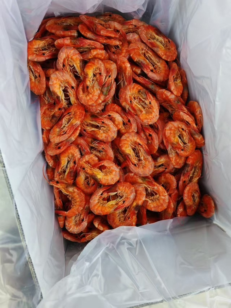 精品南美白烤虾全国发货量大价优欢迎随时联系