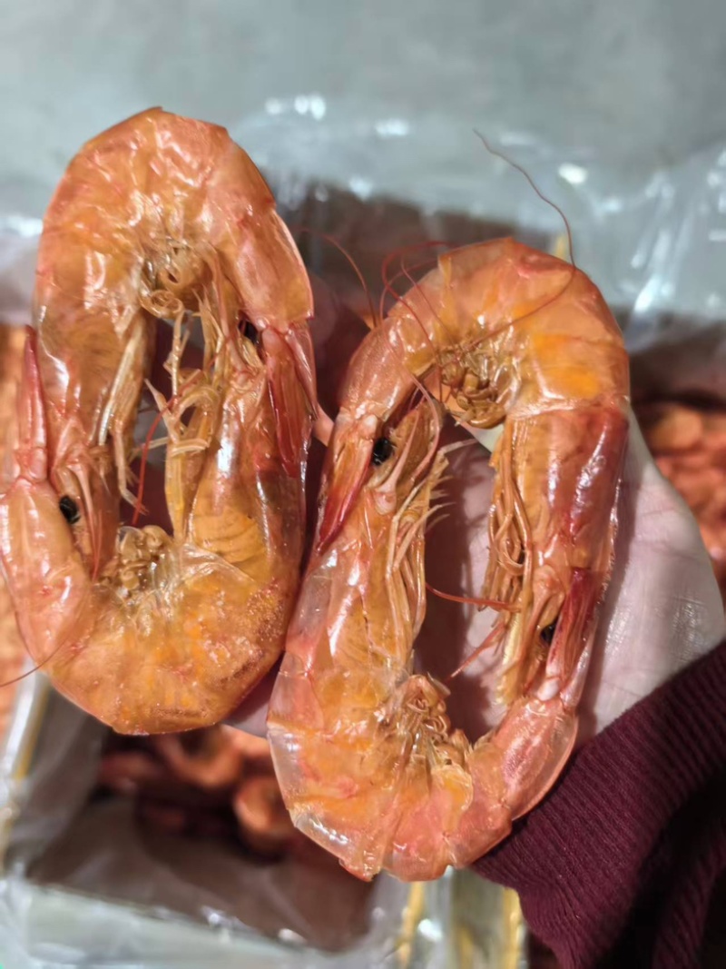精品南美白烤虾全国发货量大价优欢迎随时联系