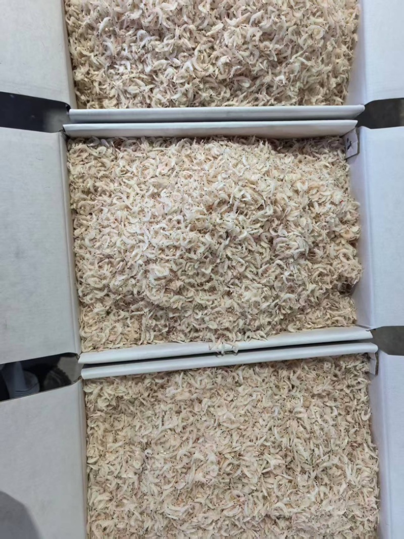 精品渤海湾特产虾皮一手货源全国发货量大价优欢迎