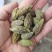 重庆烘干橄榄，对接药厂，含量高，自由基地200亩