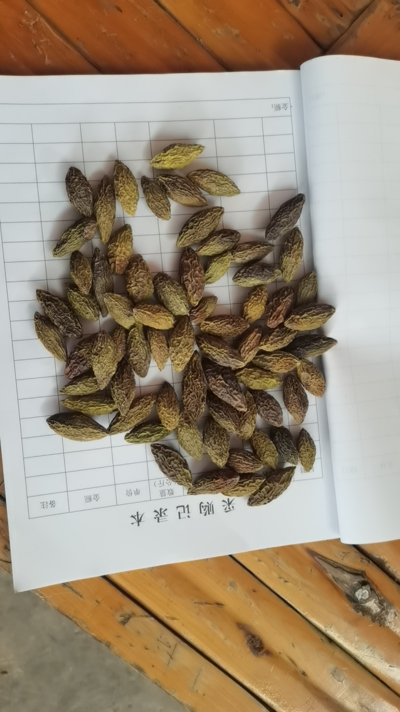 重庆烘干橄榄，对接药厂，含量高，自由基地200亩