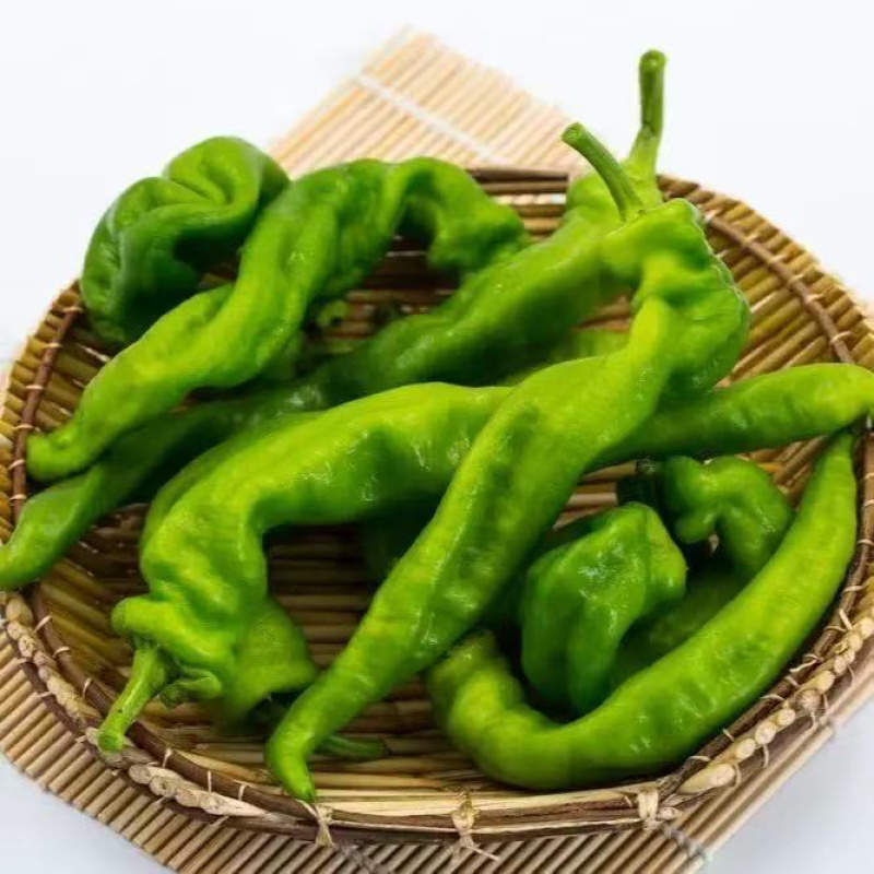 优选精品螺丝椒产地直发协助装车货源充足服务质量保证