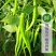 优选精品二荆条辣椒大量上市质量优良品种多样