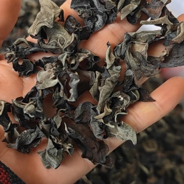 野生黑木耳，黄薄片
