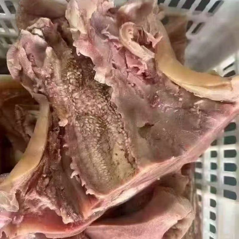 精品熟牛嘴巴