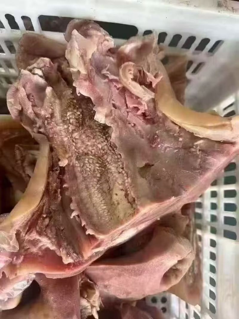 精品熟牛嘴巴