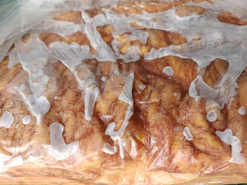 马套肠活马鲜宰**新鲜精修去油大中小肠都有