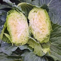 甘蓝，白菜，原产地直发，保质保量，绝不掺假