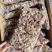 【熟牛杂】金品高端牛杂，纯干无水，新鲜食材，质量保证