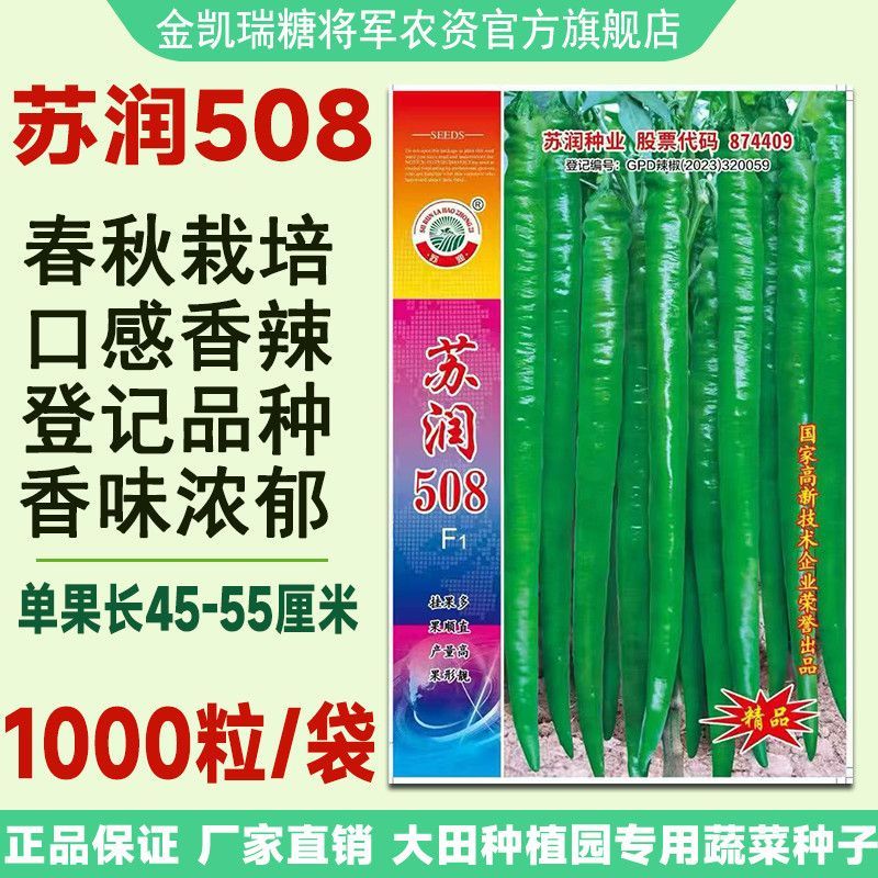 正品苏润509高产超长特大线椒种子正宗加长果条椒基地辣椒