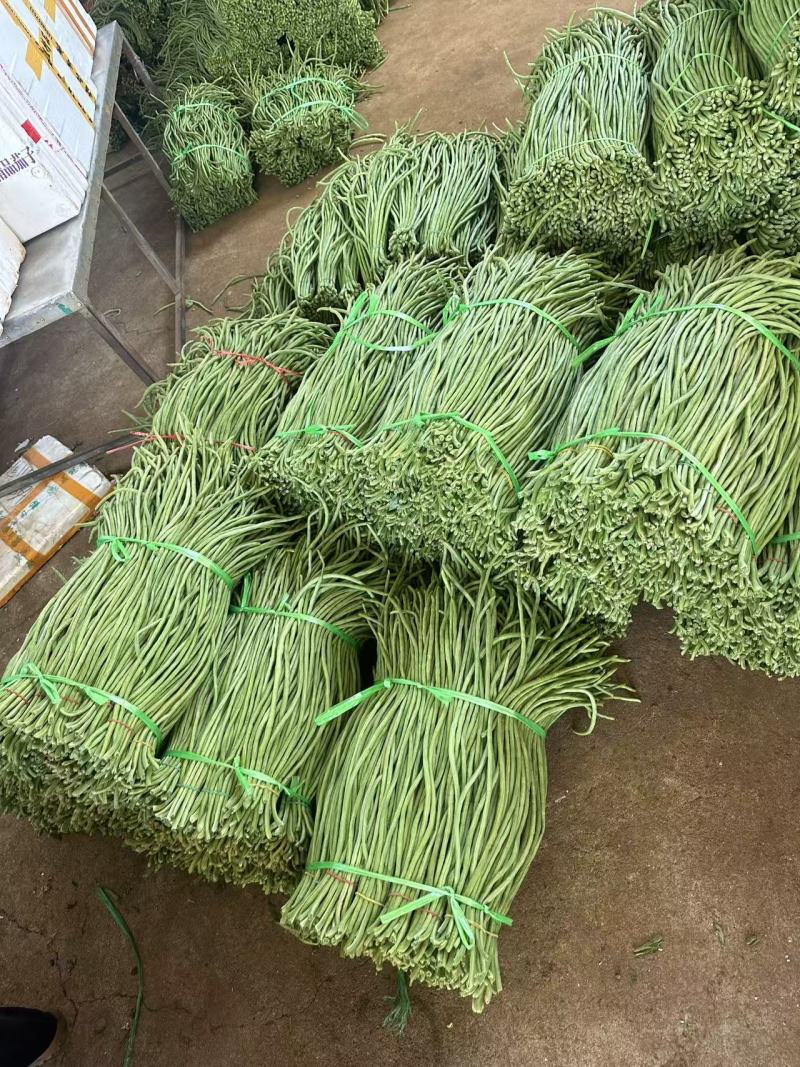 长豆角产地直发，量大优惠对接全国市场，电商平台欢迎合作