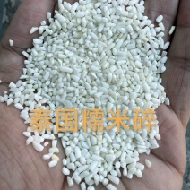 俊佳泰国碎糯米大颗粒厂家直销质量稳定