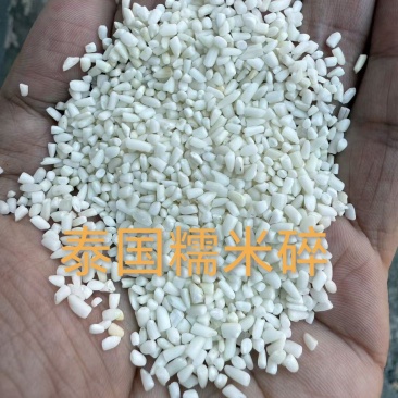 俊佳泰国碎糯米大颗粒厂家直销质量稳定