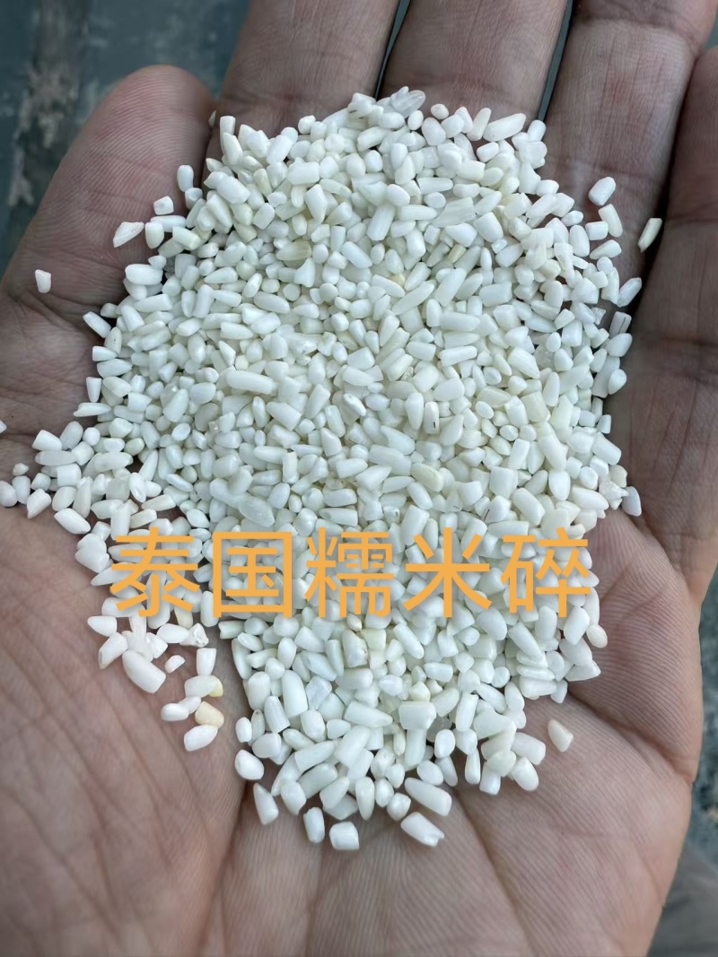 俊佳泰国碎糯米大颗粒厂家直销质量稳定