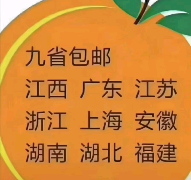 【优选】脐橙赣南脐橙满口爆汁一手货源欢迎选购