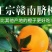 【优选】脐橙赣南脐橙满口爆汁一手货源欢迎选购