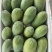 冰糖红心牛奶木瓜