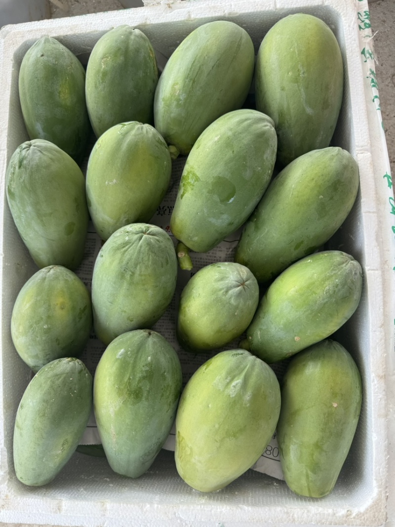 冰糖红心牛奶木瓜
