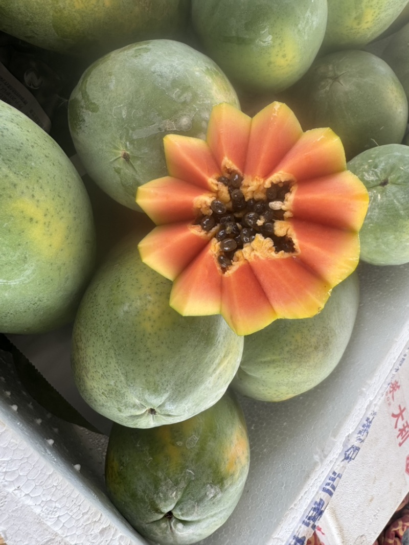 冰糖红心牛奶木瓜