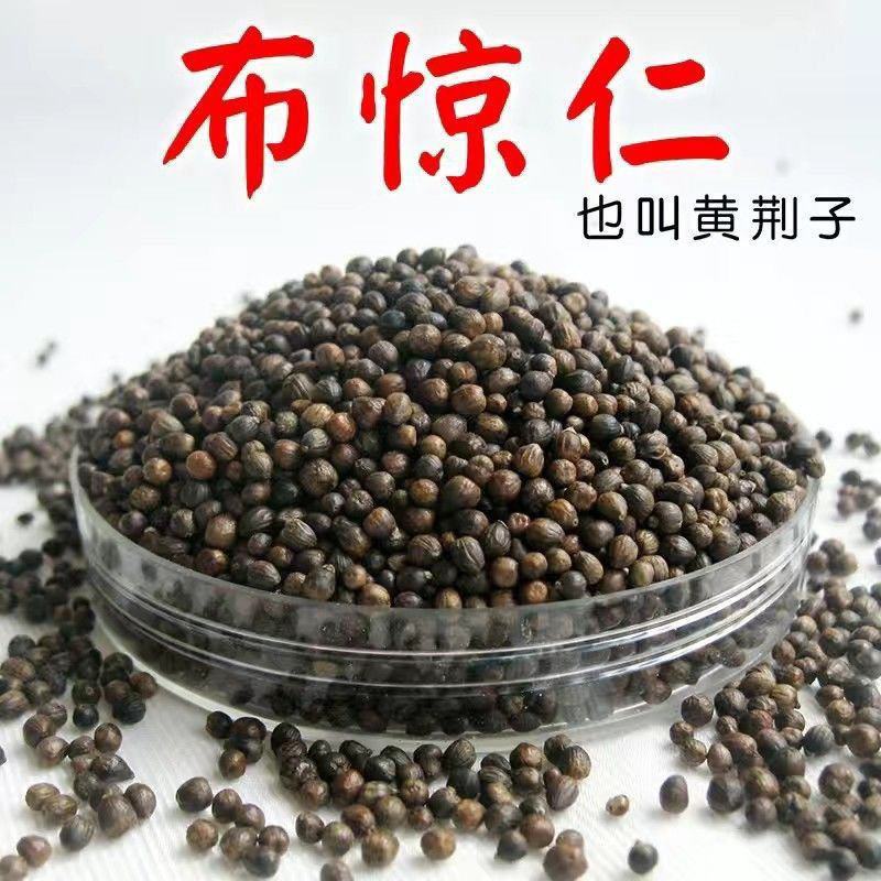野生布惊子布惊仁布惊籽仁布惊子仁枕头黄荆籽黄荆子枕芯布