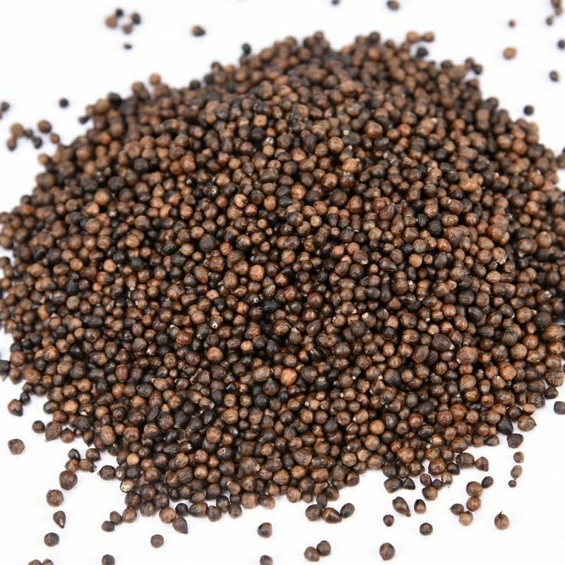 野生布惊子布惊仁布惊籽仁布惊子仁枕头黄荆籽黄荆子枕芯布