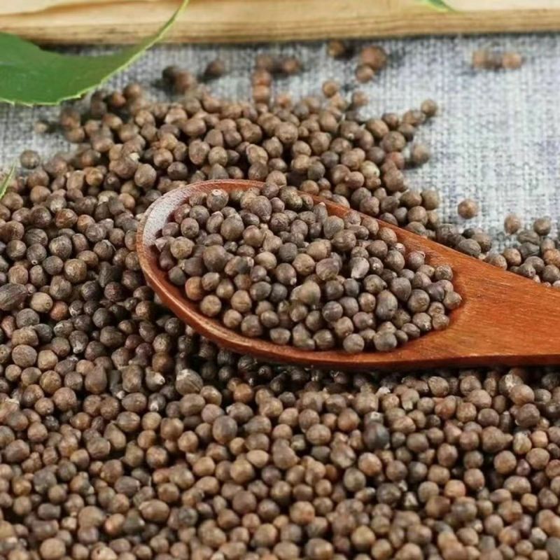 野生布惊子布惊仁布惊籽仁布惊子仁枕头黄荆籽黄荆子枕芯布
