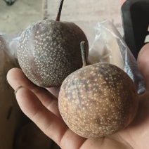 花心梨