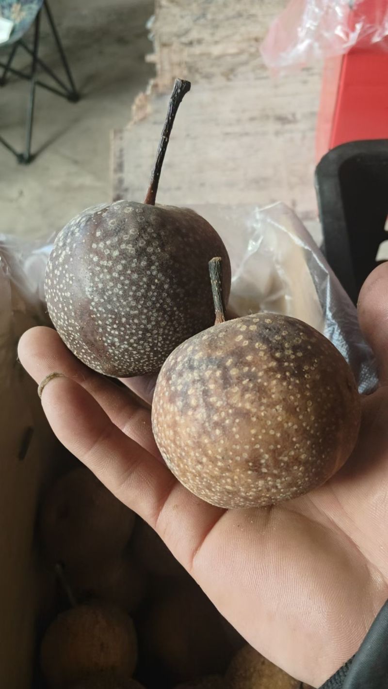 花心梨