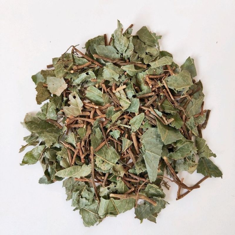 矮地茶中药材平地木不出林干货矮地茶康养斋中药材