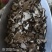 白芍中药材白芍片规格齐全大货供应量大从优