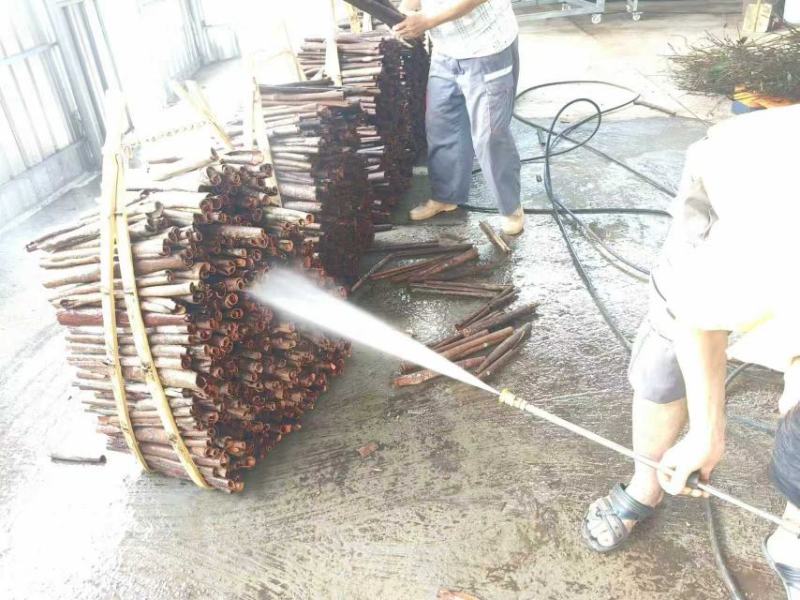 广西原产地精品烟桂，正十烟桂有生产许可证可供商超客户