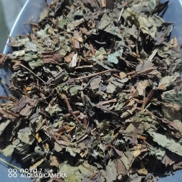鱼腥草折耳根干货一手货源量大从优规格齐全