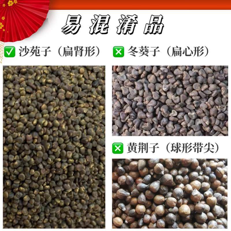 水洗沙苑子色选净货道地陕西渭南大荔产区过风过筛