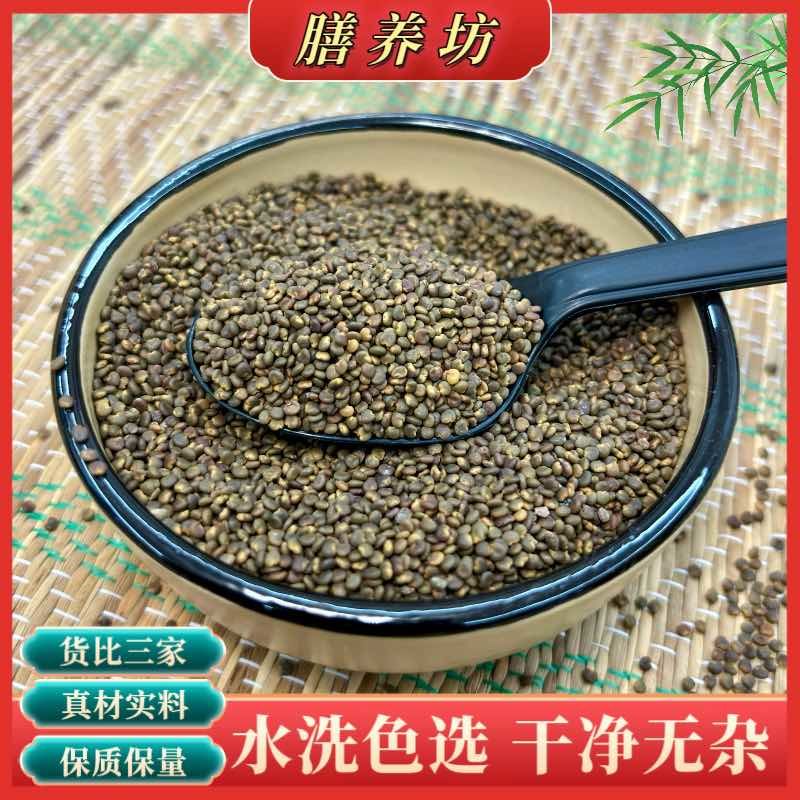 水洗沙苑子色选净货道地陕西渭南大荔产区过风过筛