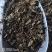 鱼腥草折耳根干货一手货源量大从优规格齐全