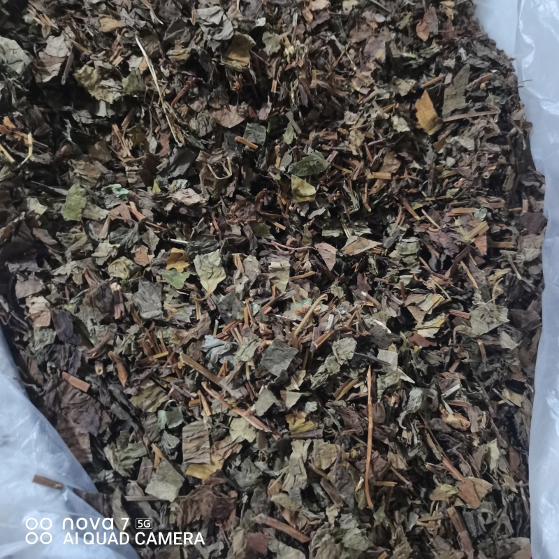 鱼腥草折耳根干货一手货源量大从优规格齐全