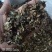 鱼腥草折耳根干货一手货源量大从优规格齐全