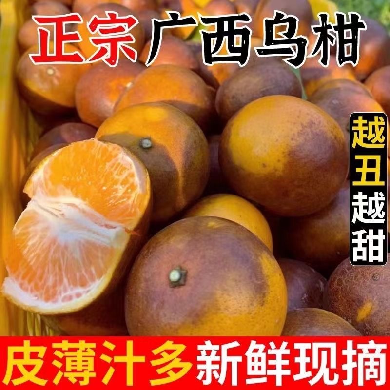 广西武鸣乌柑大量对接市场电商外贸出口专业代办团队供应