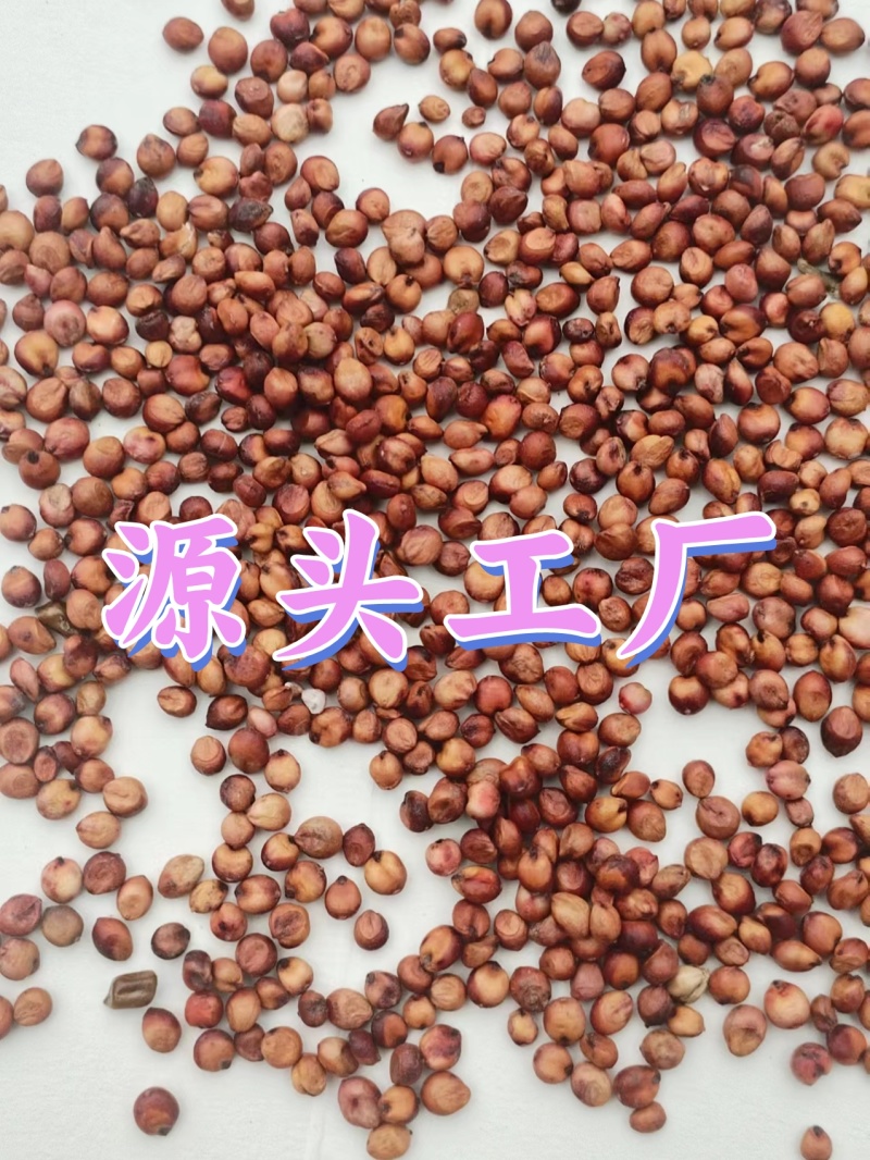 工厂直销，酿酒缨子高粱，各种糯高粱，梗高粱，