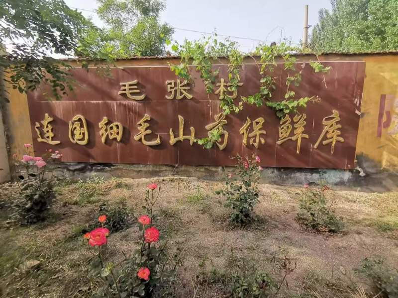 正宗铁棍，山东山药产地直发量大从优欢迎来电