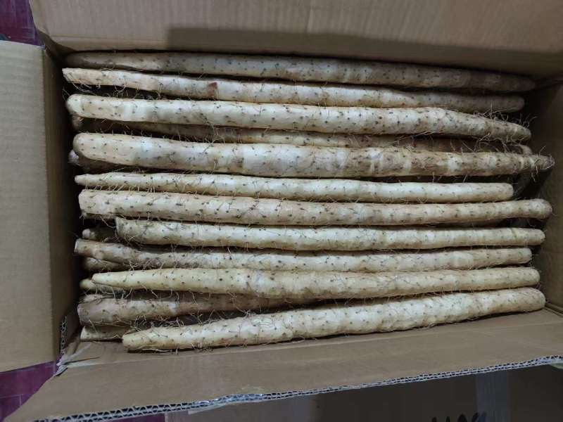 毛山药精品货源，诚信合作量大从优欢迎来电咨询