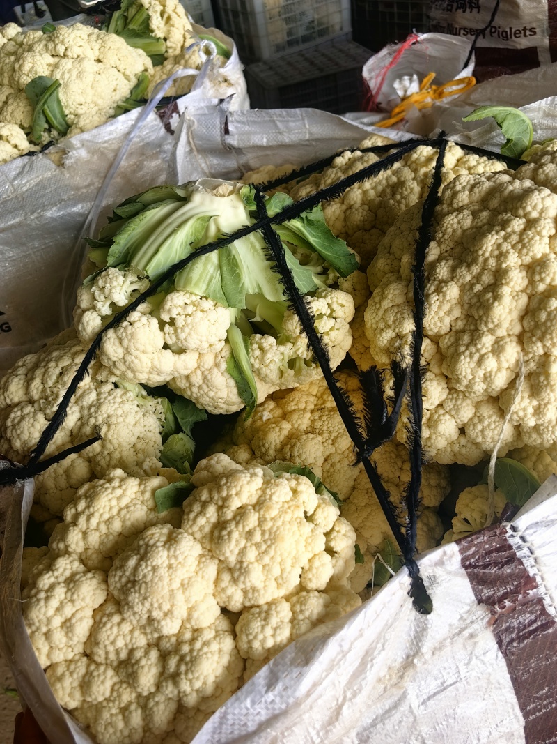 精品小米花菜大量上市，自己基地几百亩产地一手货源