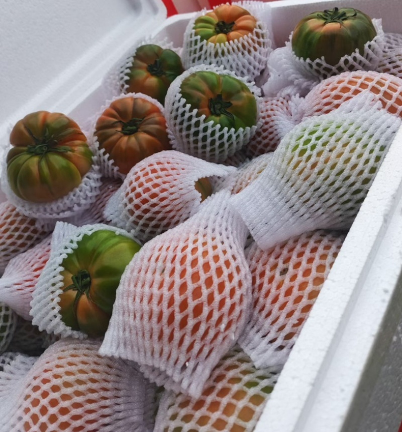 正宗潮汕地区老品种马蹄番茄，基地直供，全年供应